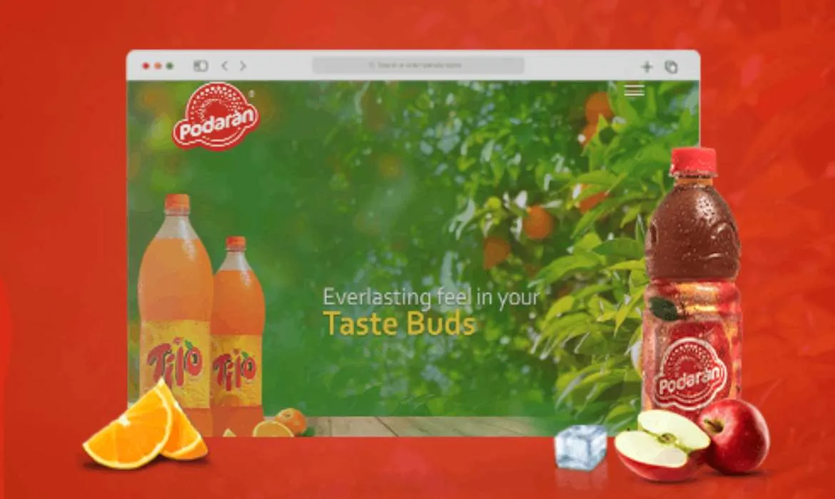 Website Design Company  