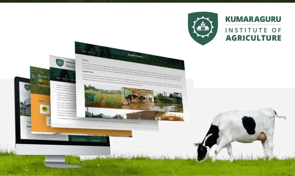 Website Design Company  